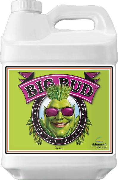 Big bud - Advanced Nutrients